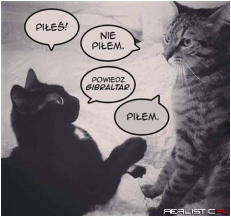 Lepiej się przyznać