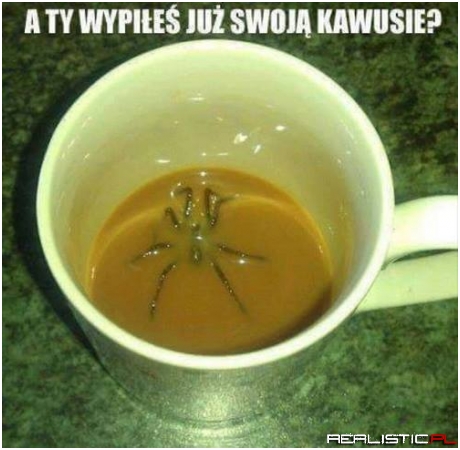 Zawał murowany!