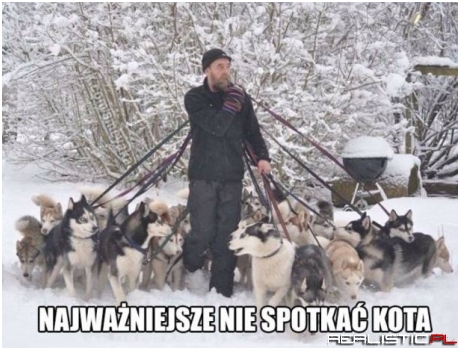 Ale by był pościg...