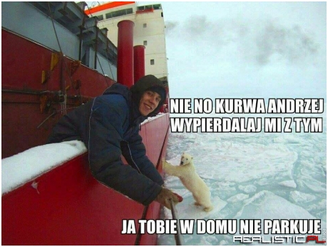 Dobra akcja