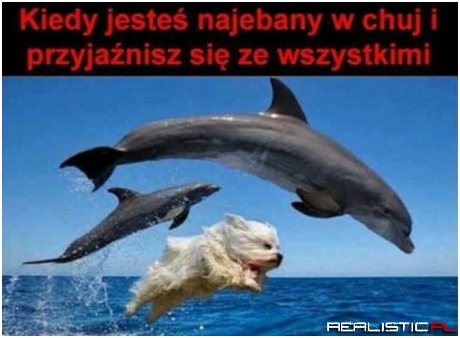 Tak głupie, że aż śmieszne