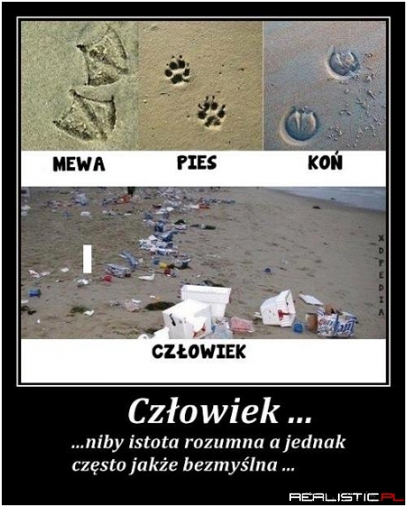Człowiek...