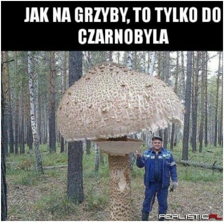 Wielki skurczybyk!