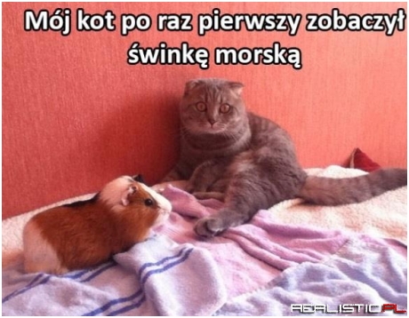 Ale minę zrobił!
