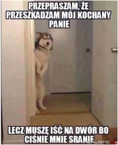 Przepraszam, że przeszkadzam