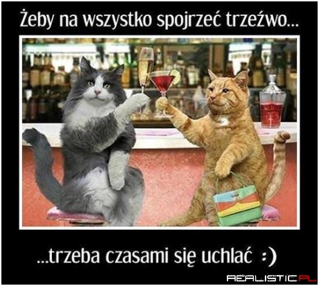 Święta prawda!