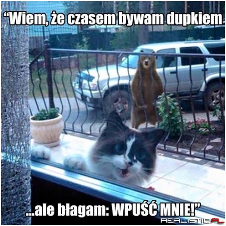 Wpuść mnie!