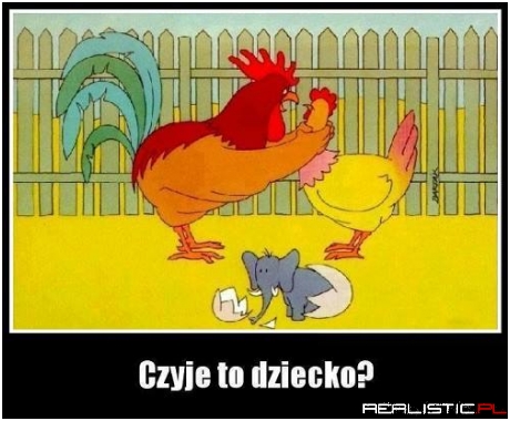 Zrobiła go w trąbę