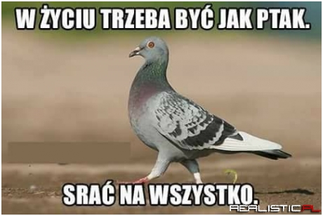 Życie...