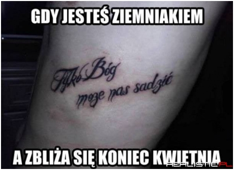Być ziemniakiem...