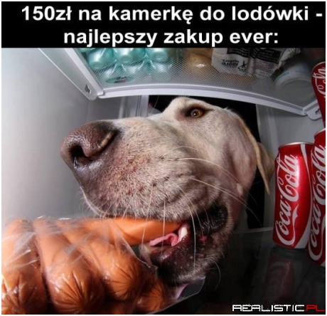 Dobry zakup ;)