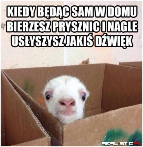 Dokładnie tak jest