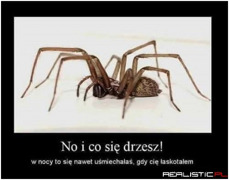 Mam takiego dziada w kuchni