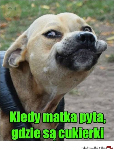 Nic na ten temat nie wiem