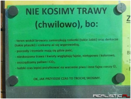 Nie kosimy!