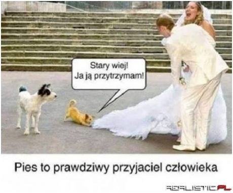 Prawdziwy przyjaciel...