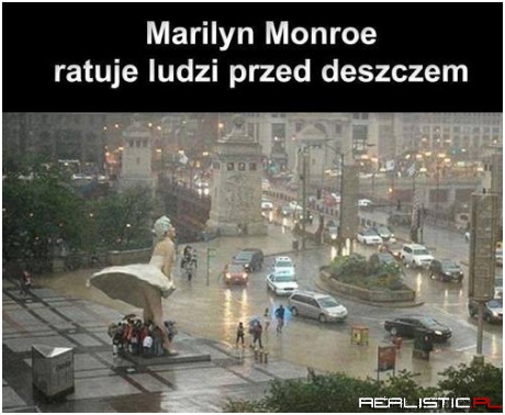 Schronienie przed deszczem