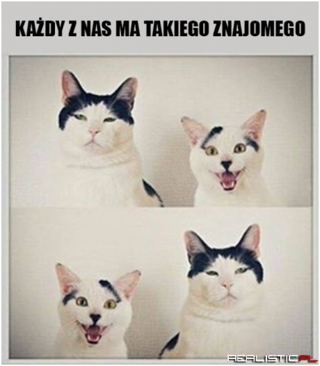 Wariat :D