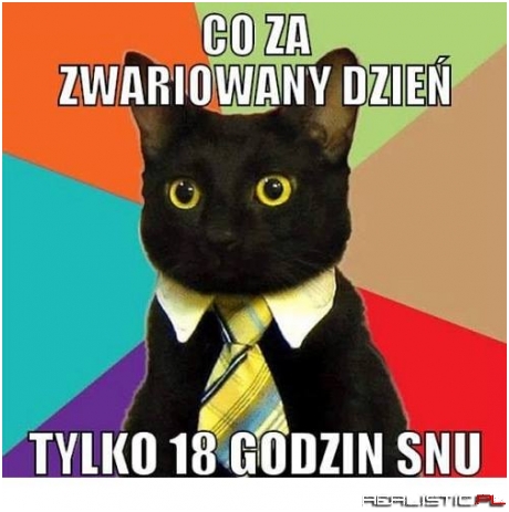 Zwariowany dzień
