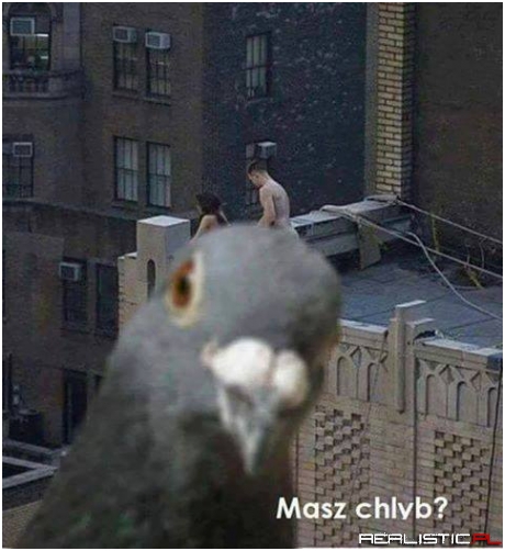 A chcesz w łyb ;)