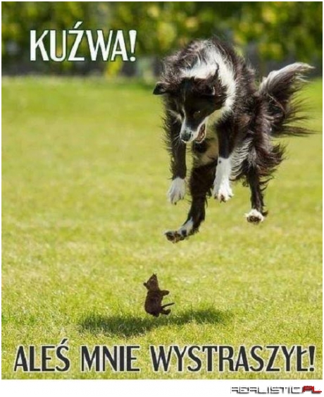 Aleś mnie wystraszył!
