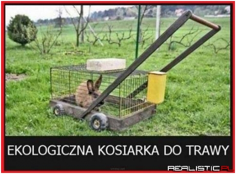 Bardzo ekologiczna ;)