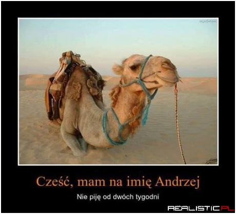 Co ten Andrzej ;)