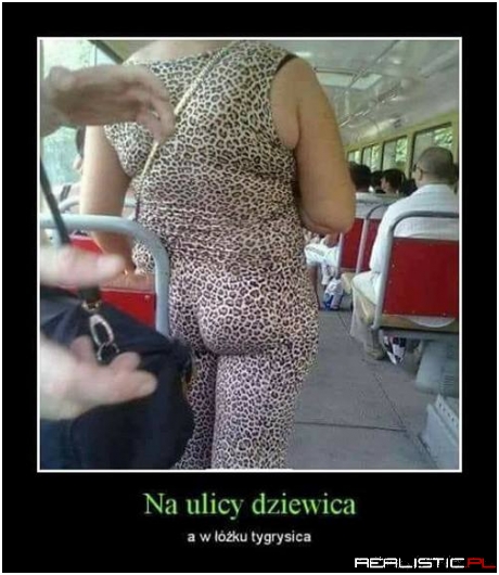 Gustowne wdzianko