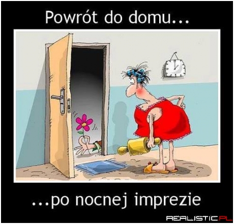 Ja wracam bez kwiatka