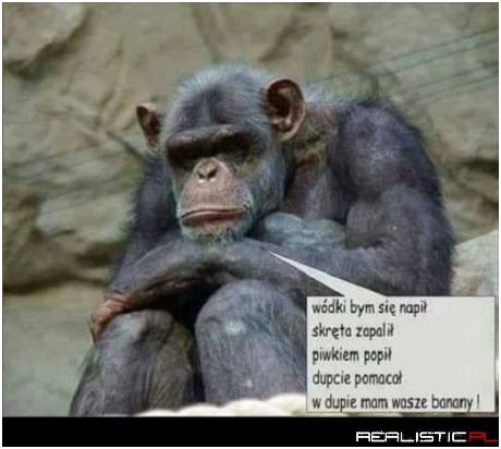 Ma gdzieś banany ;)