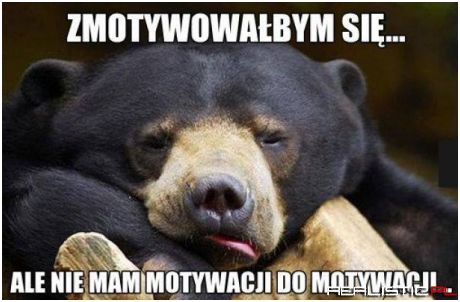 Motywacja