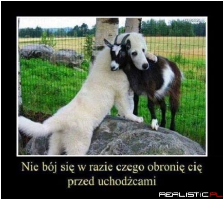 Nie bój się!