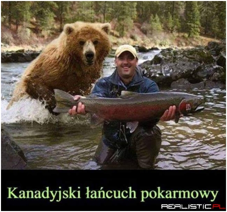 Ostatnie zdjęcie Romana