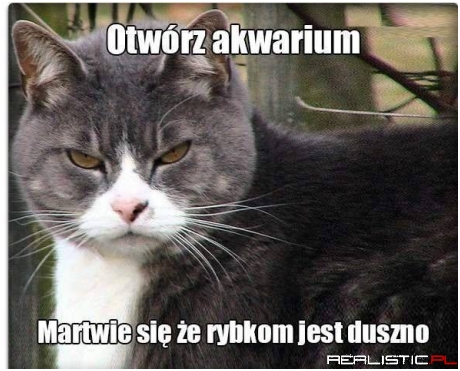 Otwórz akwarium xD
