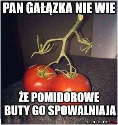 Pan gałązka ;)