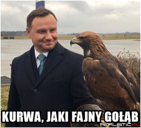 Prawie jak kaczka tylko dziób inny