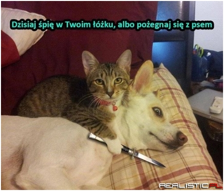 Taka sytuacja