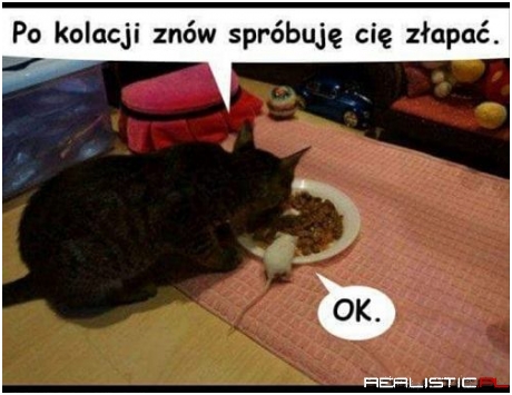 Tom i Jerry