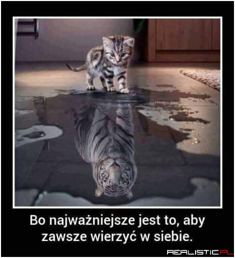 Wiara czyni cuda