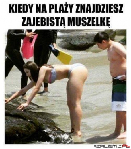 Zajebista muszelka