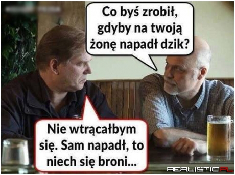Biedny dzik ;)