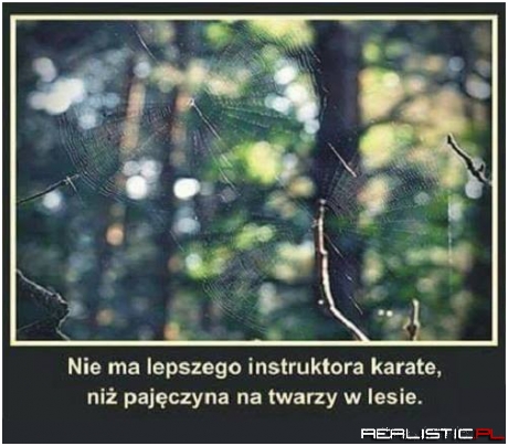 Jakie to prawdziwe!