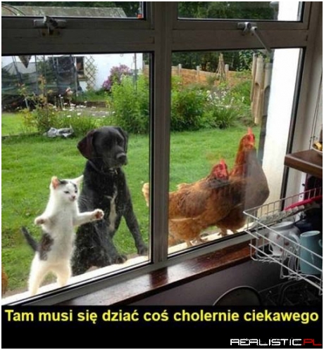 Jedzenie się robi!