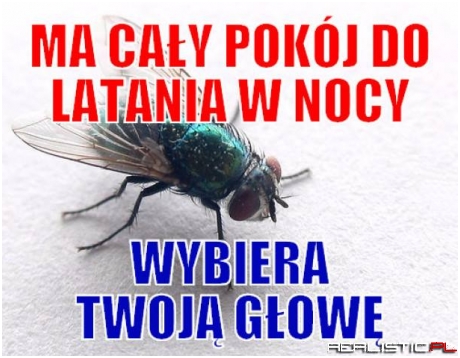 Jest tak!
