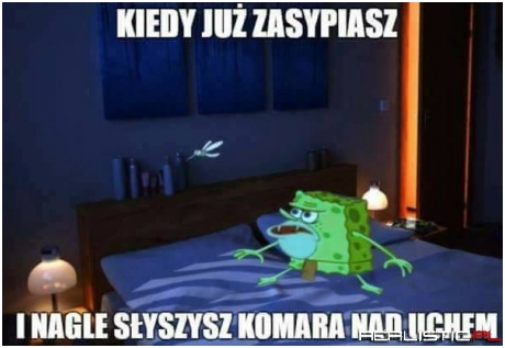 Komar nad uchem