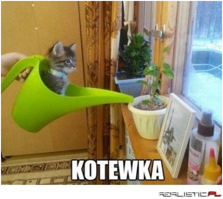 Kotewka