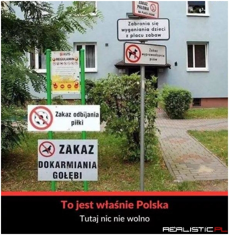 Mój kraj taki piękny!