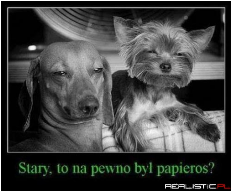 Na pewno!