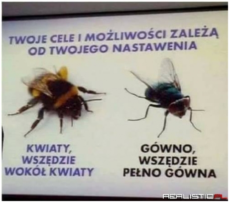 Najważniejsze nastawienie ;)