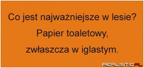 Najważniejsze w lesie...